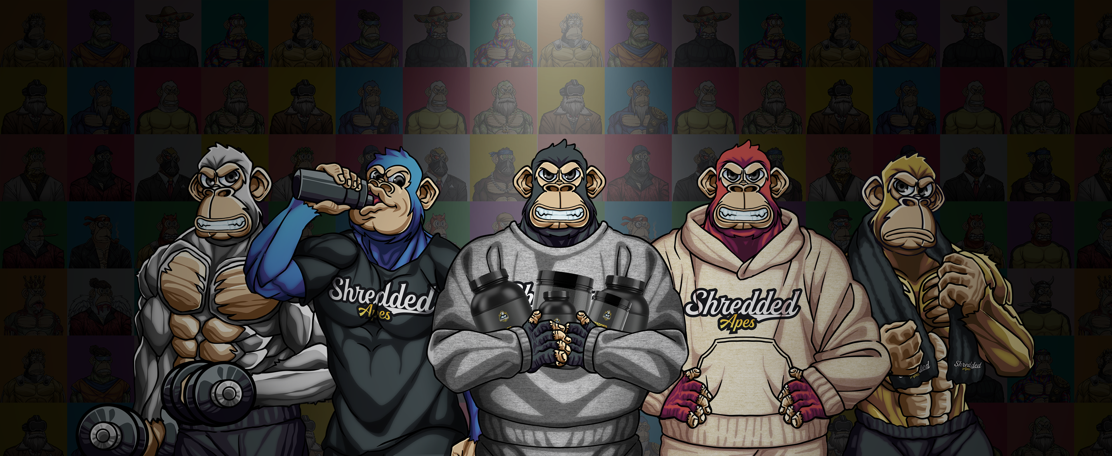 Intro Banner